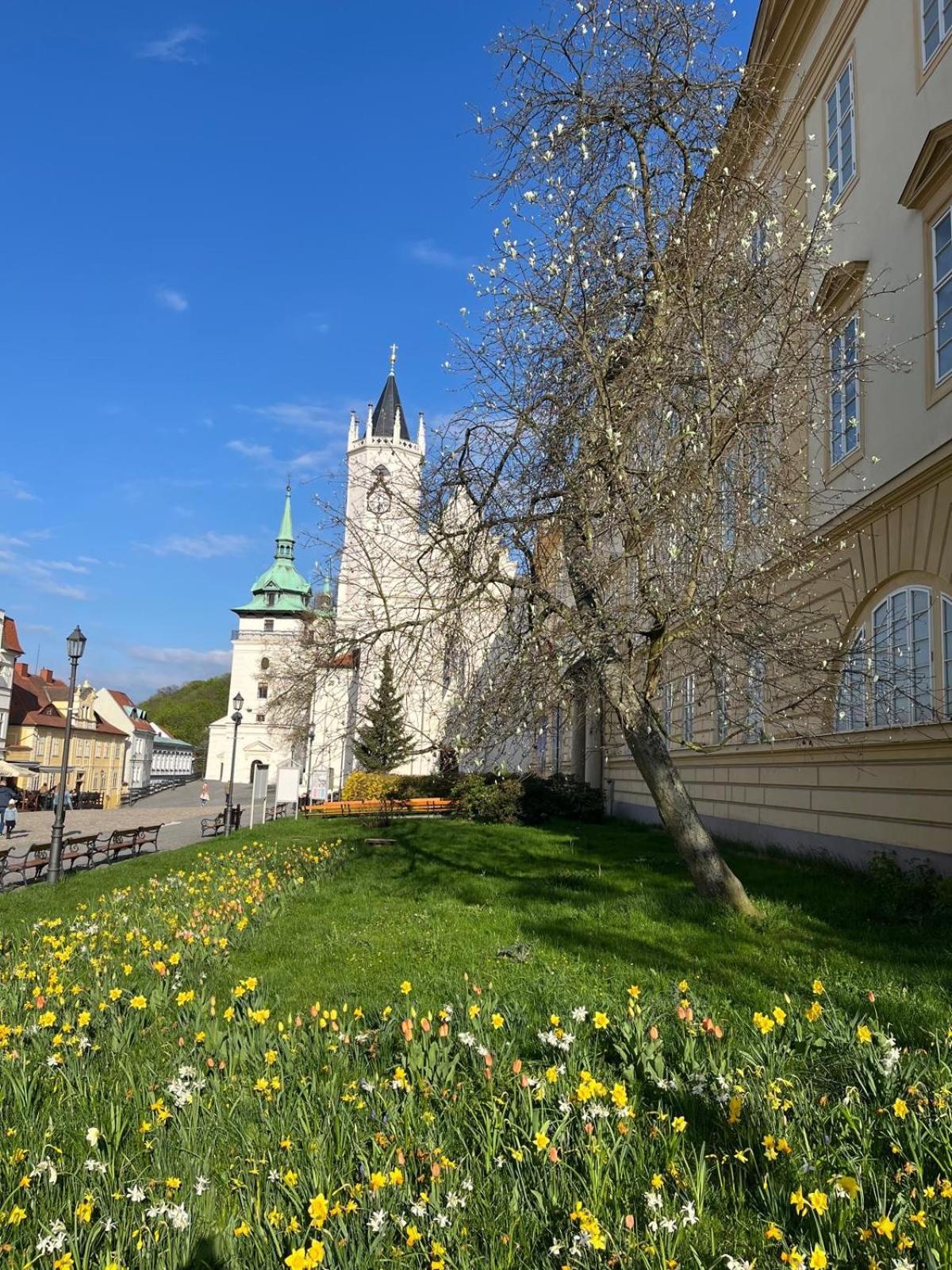 Vila Adela - Teplice Buitenkant foto